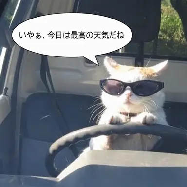 Profile image of カン・アリン