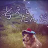 Profile image of 地球RPG
