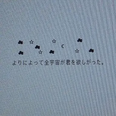 Profile image of チェ要員