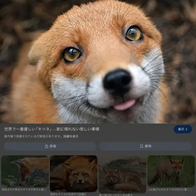 Profile image of 狐