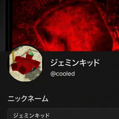 Profile image of ジェミンキッド