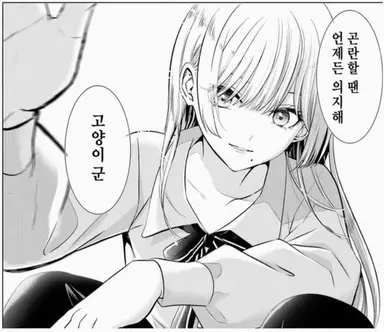Profile image of 카펠라 카프리콘