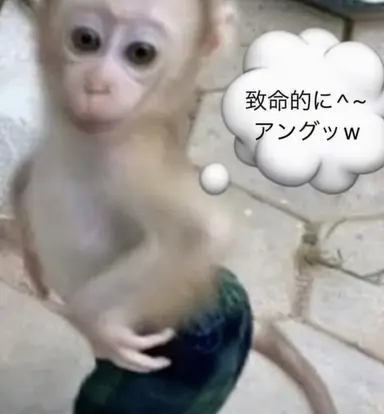 Profile image of キツネ