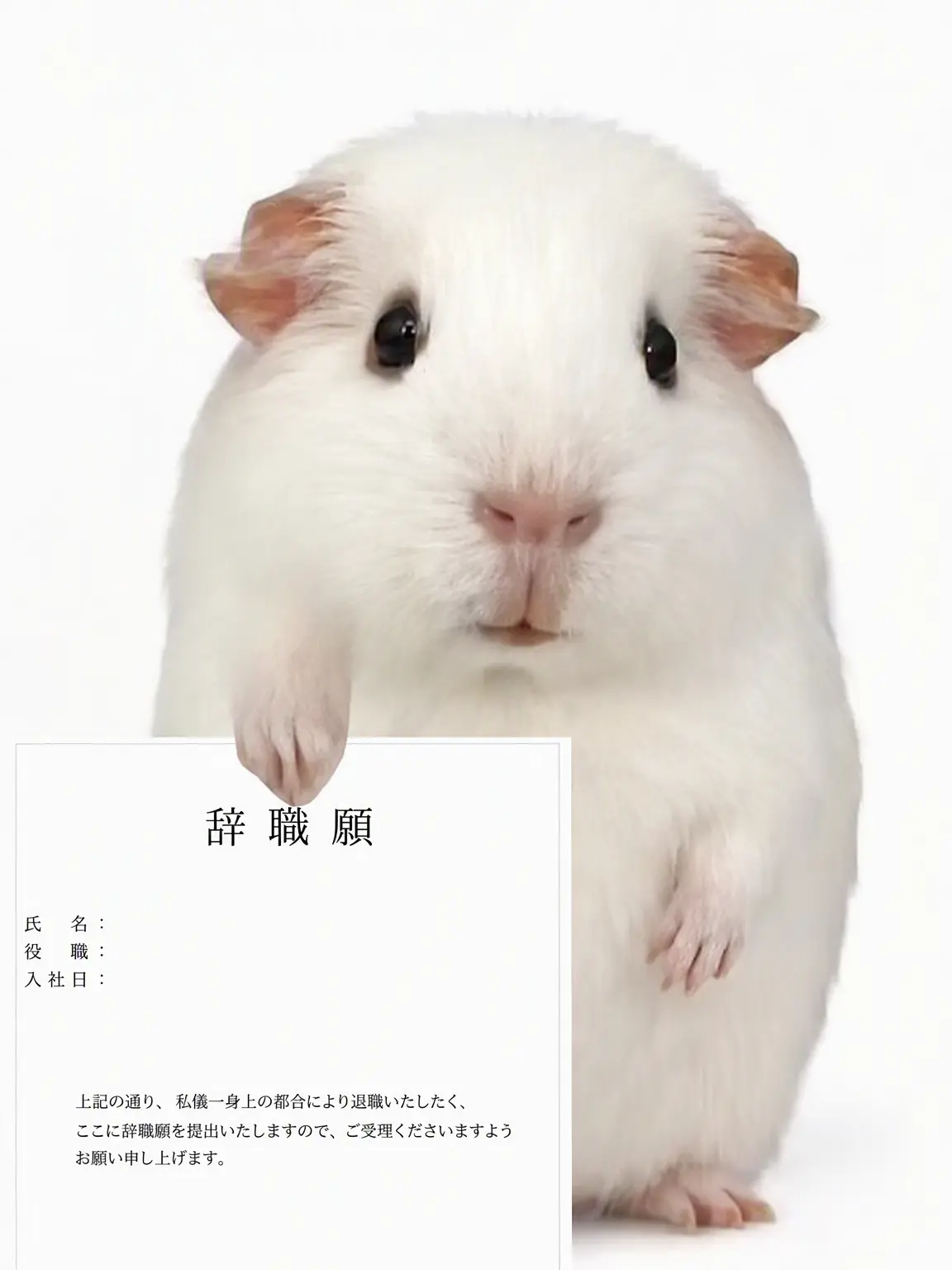 momorie3의 入らなきゃよかったかな...