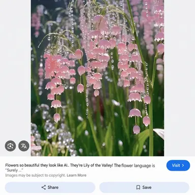 Profile image of Rather