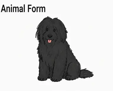 Profile image of Mireu