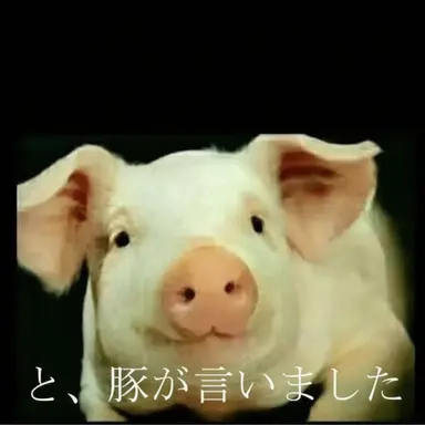 Profile image of キム・ヨウ