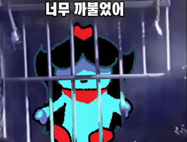 Profile image of 아쿠아