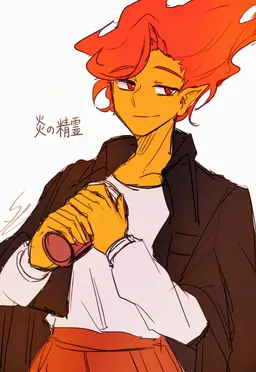 Profile image of 炎의 정령