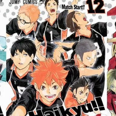 Profile image of Karasuno High & Inarizaki High