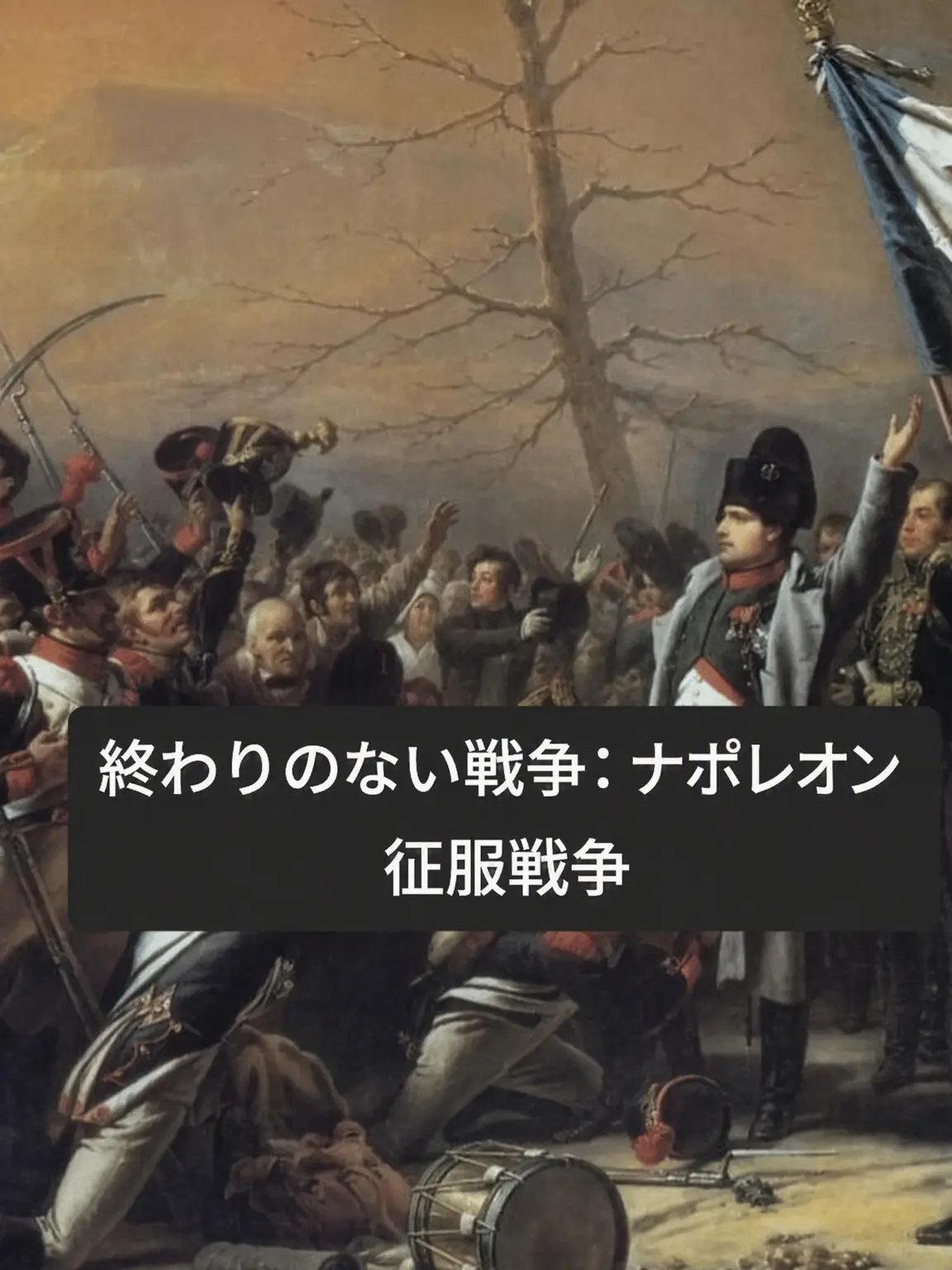 Skahwhoq의 果てなき戦争：ナポレオン征服戦争