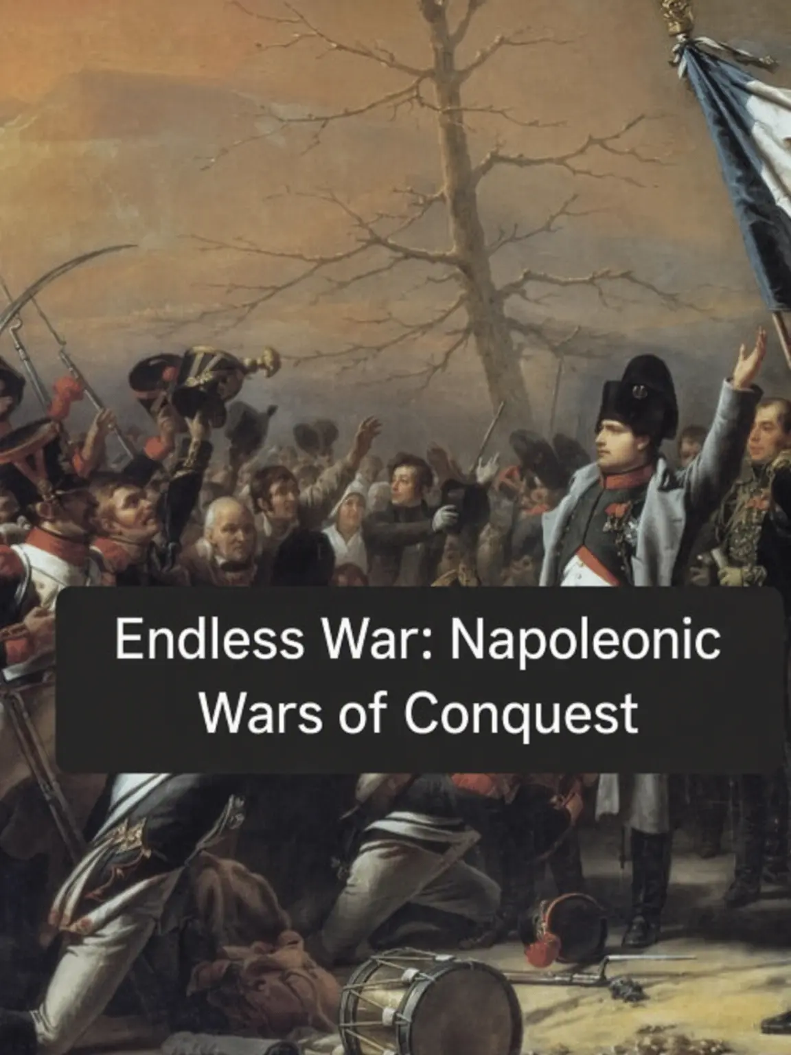 Skahwhoq의 Endless War: Napoleonic Conquest