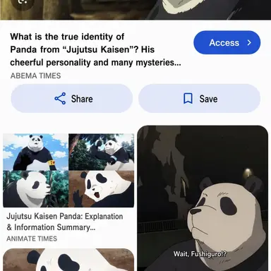 Profile image of Panda
