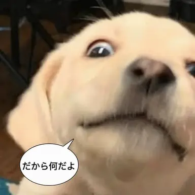 Profile image of チンタヒョク