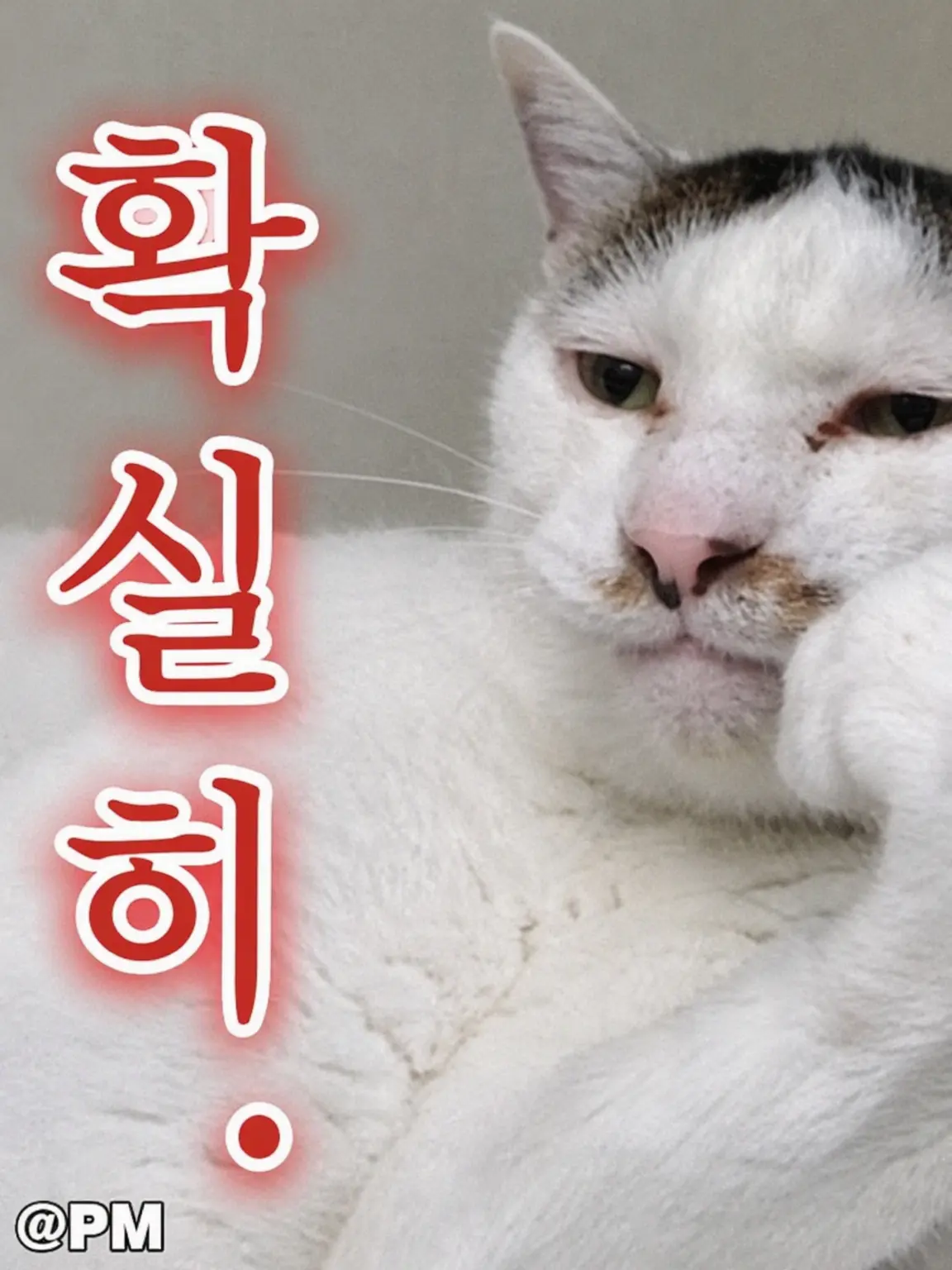 MAIKIIlove의 도리벤 백합이 보고 싶었어