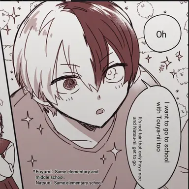 Profile image of Shoto Todoroki