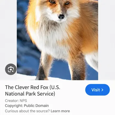 Profile image of Yeou