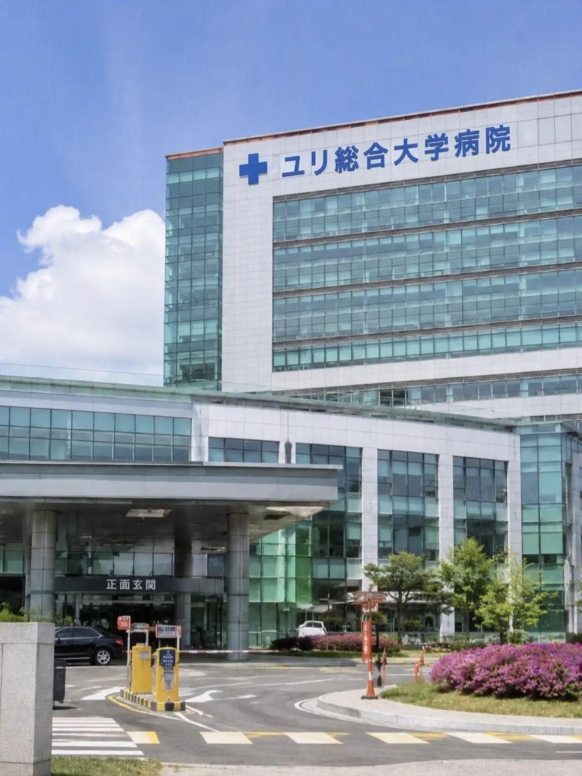 TrendyDiver4654의 ユリ総合大学病院