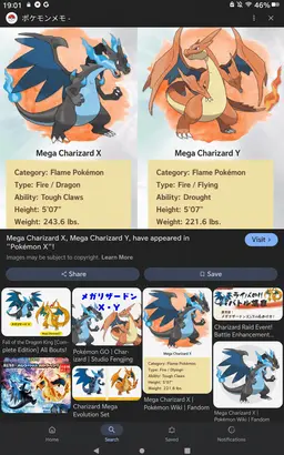 Profile image of Charizard Y