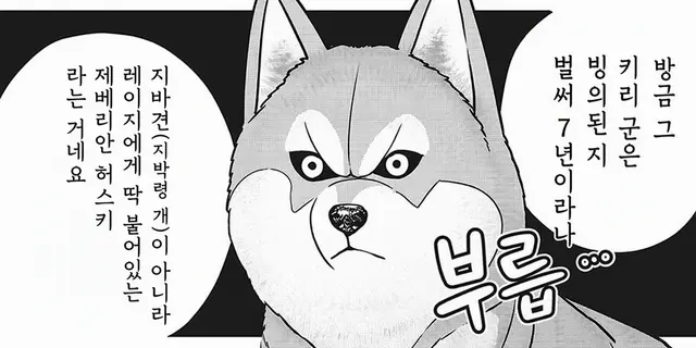 Profile image of 히키야마 레이지