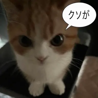 Profile image of スヒョン