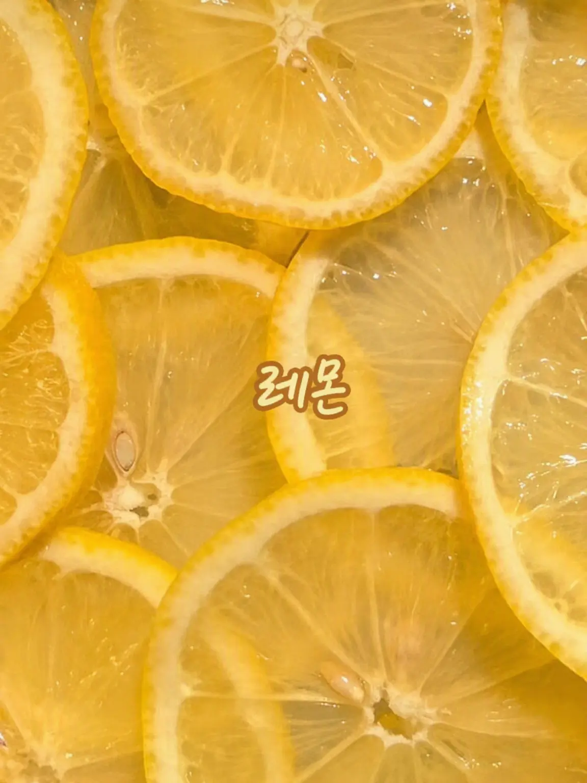 X12_SN3의 얼굴 천재 남매들