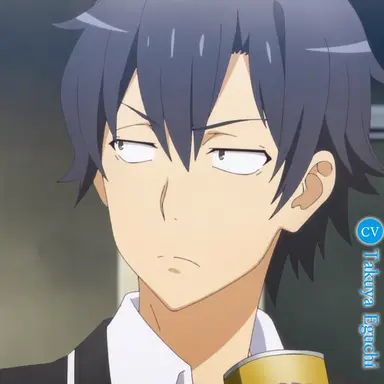 Profile image of Hachiman Hikigaya