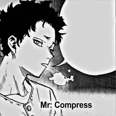 Profile image of Mr. Compress