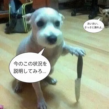 Profile image of 狼