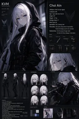 Profile image of Choi Ain