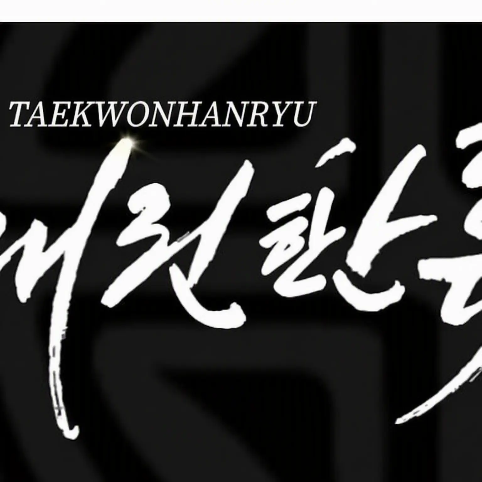 LivelyVein8320의 Taekwondo Hallyu