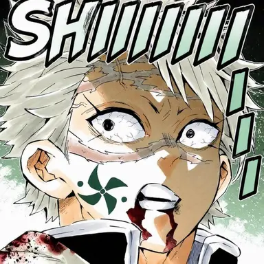Profile image of Shinazugawa Sanemi