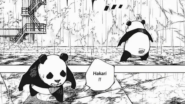 Profile image of Panda