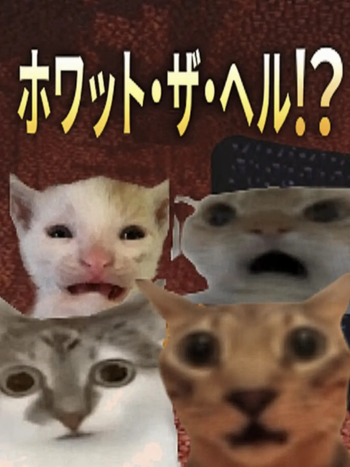 DourPuli2360의 ☆釜山タクシー☆