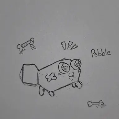 Profile image of Pebble