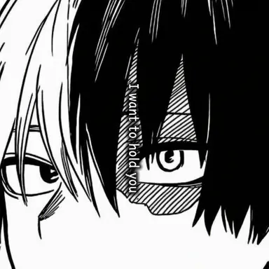 Profile image of Shoto Todoroki