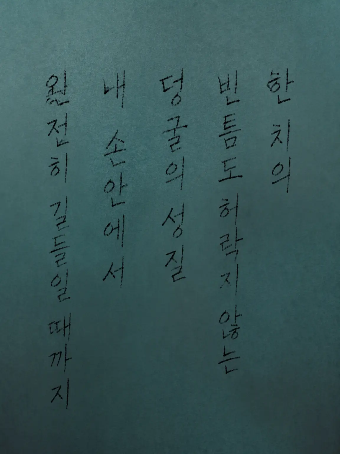 0_tsu_yu의 덩굴의 성