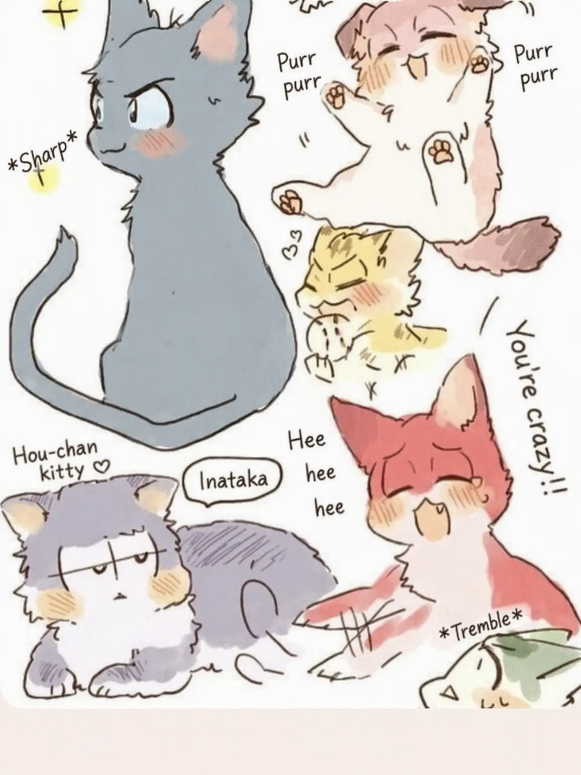 CleanEmber8105의 6 Little Cats