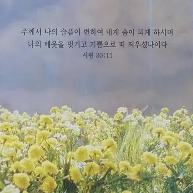 Profile image of 영배