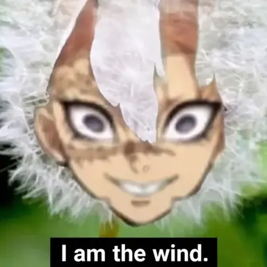 Profile image of Sanemi Shinazugawa