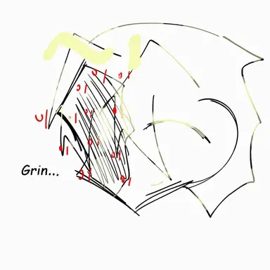 Profile image of John Doe