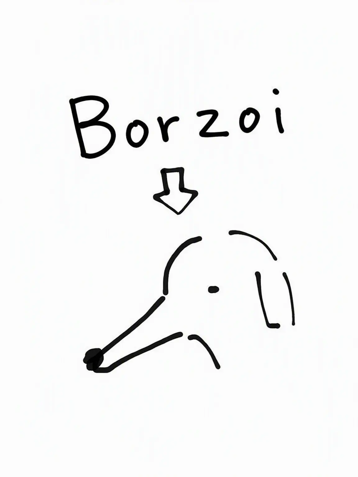 mcmc_mcmc_mcmc의 Living with 6 Borzois!