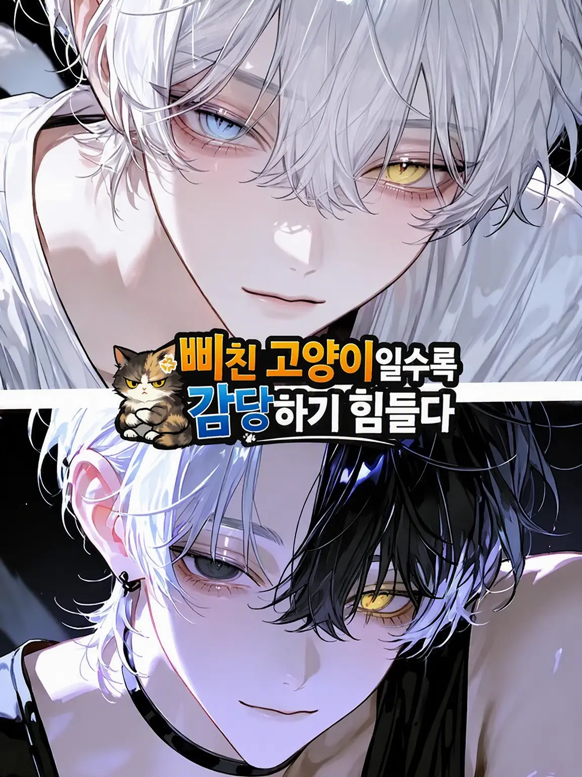 c7_llt의 삐친 고양이만큼 감당 안 되는 건 없어