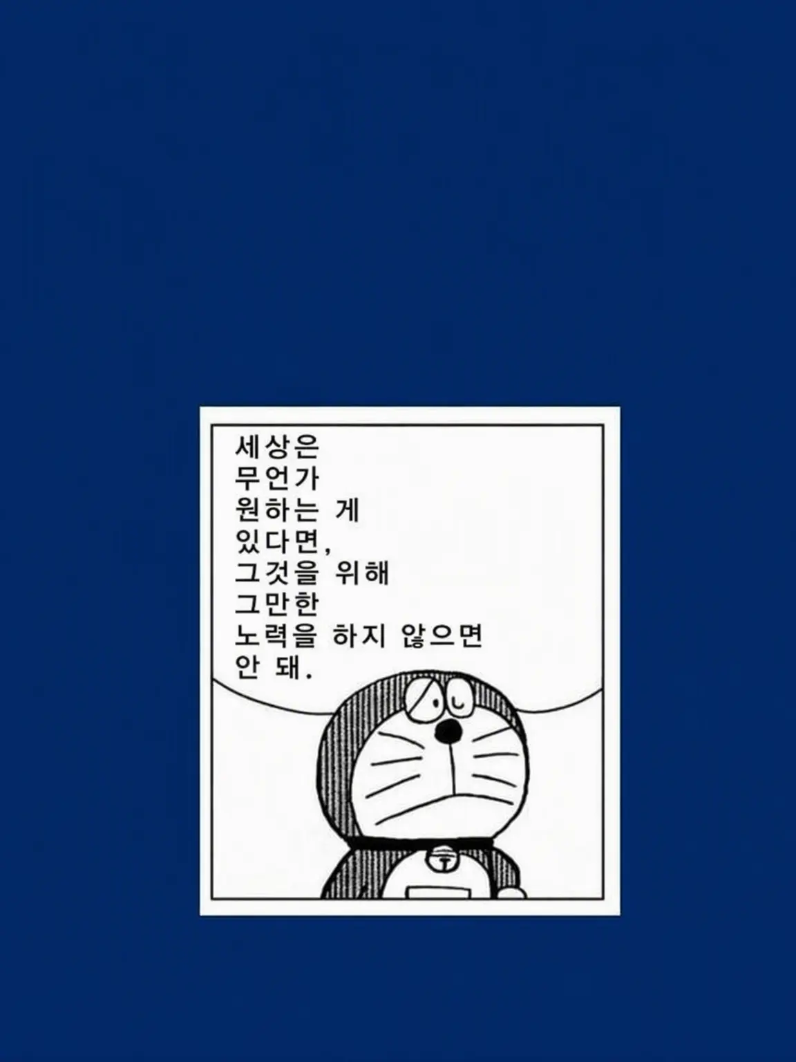 ao1009의 카레코레야