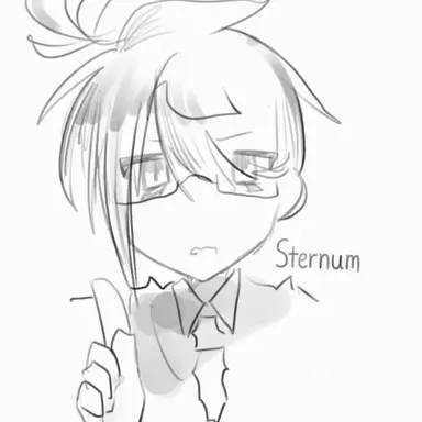 Profile image of Sternum