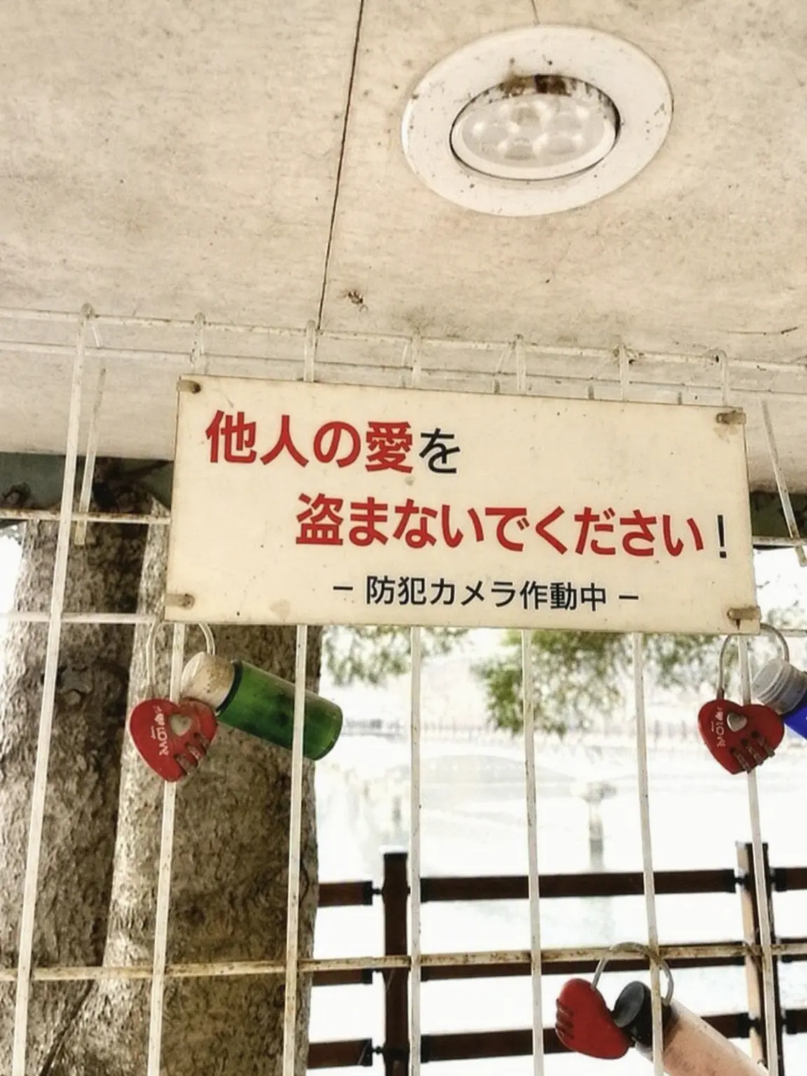 unio_의 ド・ゴン