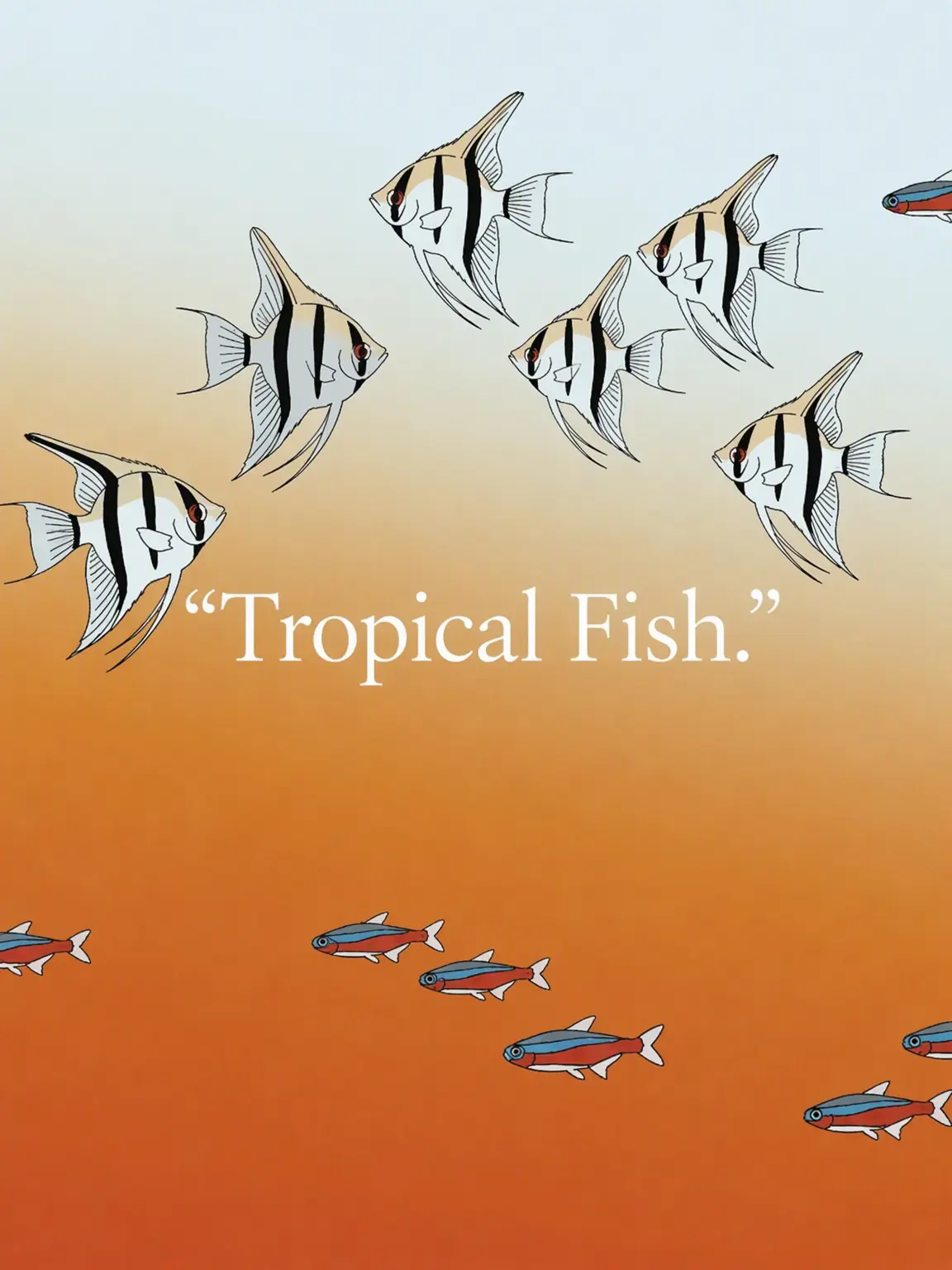 ShortEra8766의 Tropical Fish.