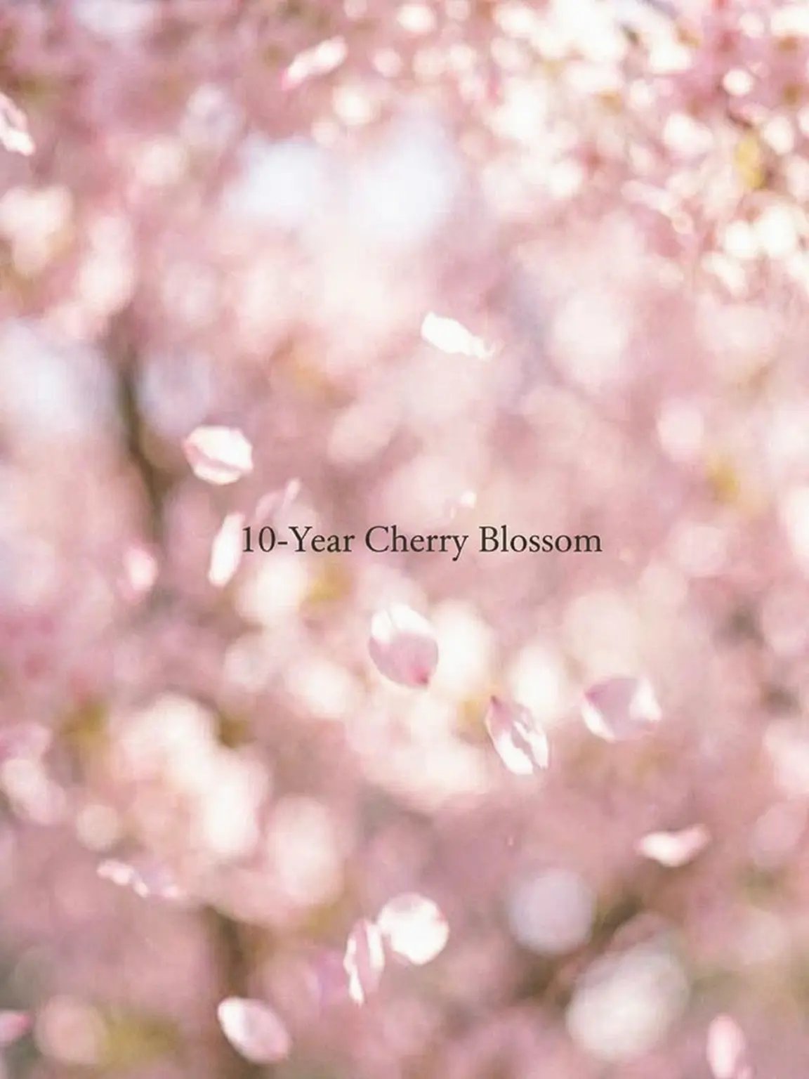 macha4_7의 10-Year Cherry Blossoms