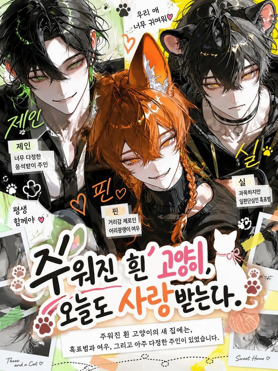 Makaroni0311의 주워 온 하얀 고양이, 오늘도 사랑받는 중.