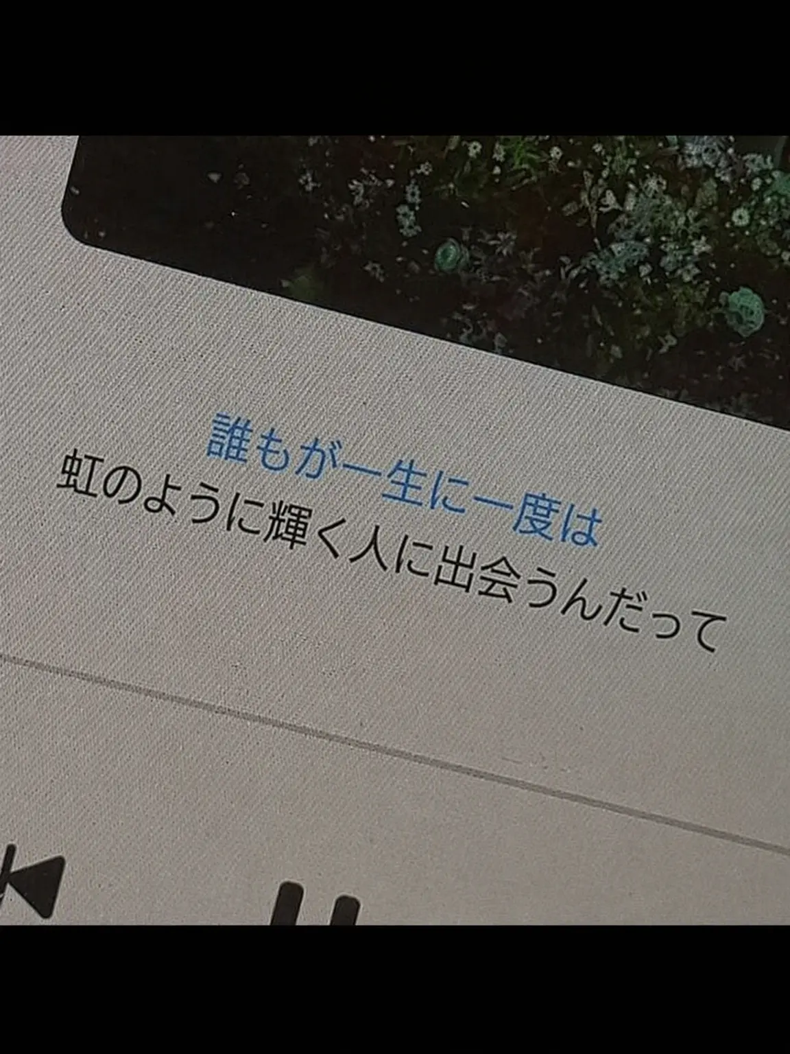 Orange_butterfly1의 ねえ、知ってる？